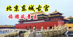 黄色小穴视频中国北京-东城古宫旅游风景区